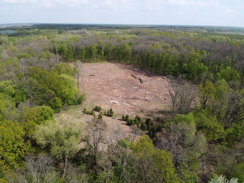 Lot And Land Clearing