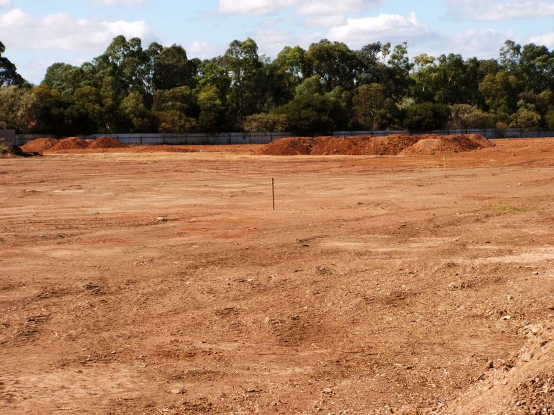 Lot And Land Clearing