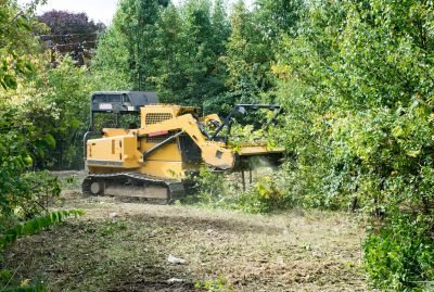 Lot And Land Clearing