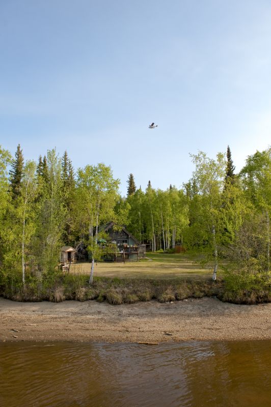 Products For Lot And Land Clearings in use