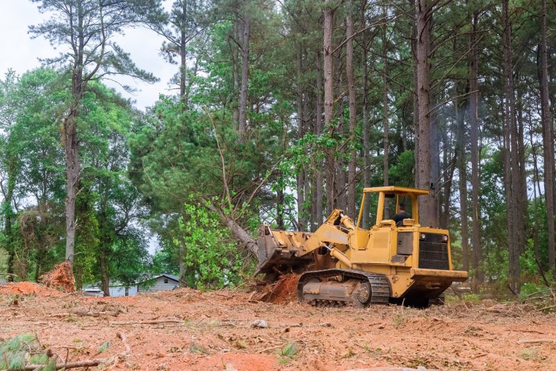 Experienced Land Clearing Contractors